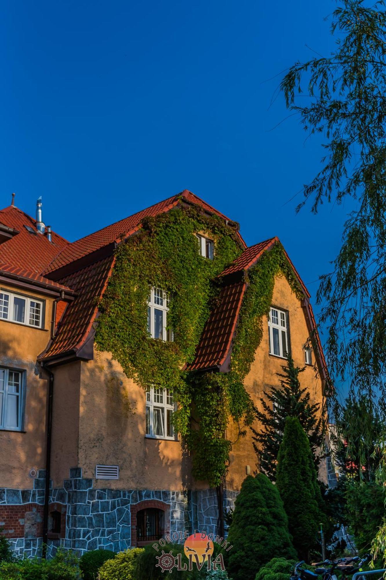 Domki Olivia Darłówko Exterior foto